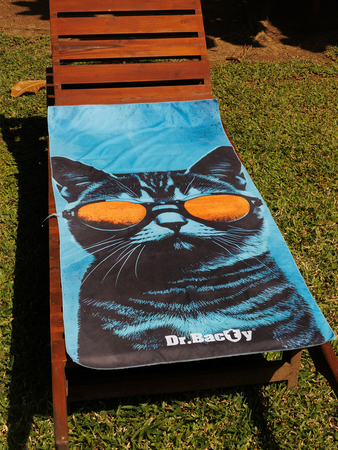 Ręcznik szybkoschnący dwustronny Dr.Bacty XL 70x140 – Chill